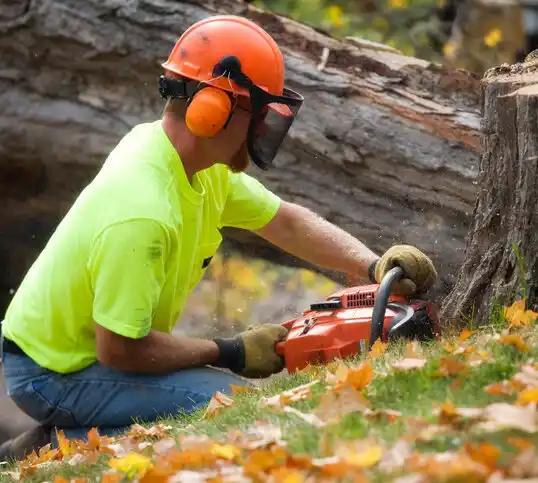 tree services Garfield